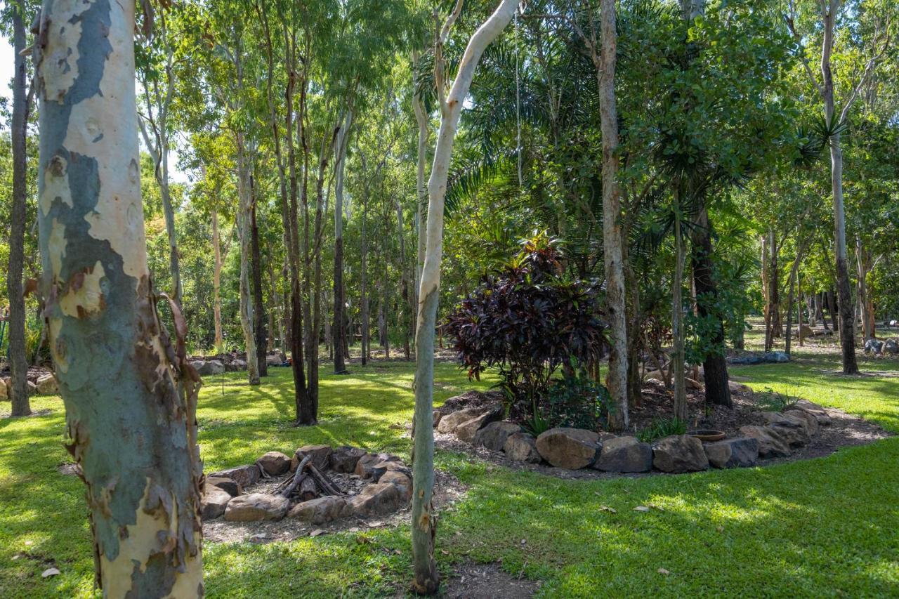 Airlie Beach Eco Cabins - Adults Only Exterior foto