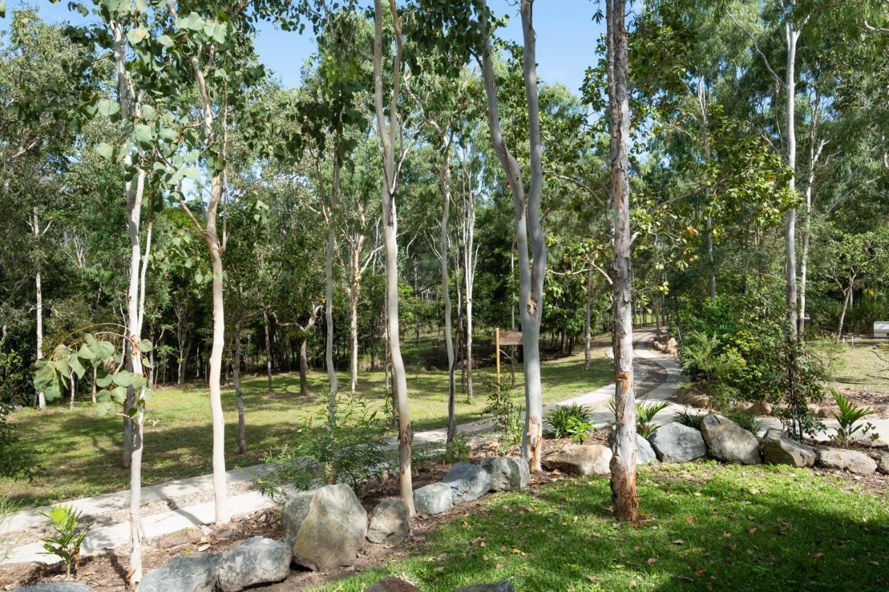Airlie Beach Eco Cabins - Adults Only Exterior foto